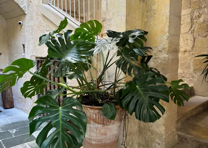 Aparthotel Luleccio 4*