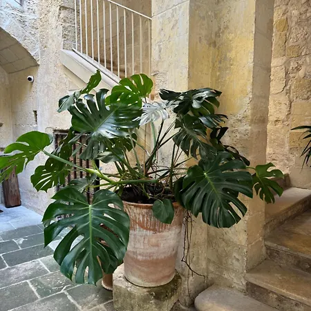 Appart hôtel Luleccio 4*